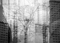 metropolis.